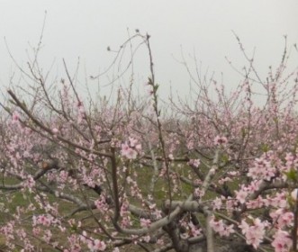 RȪhھŌһˇg(sh)(ji)28_(ki)Ļ